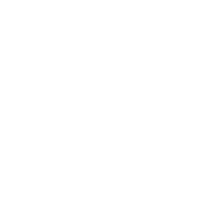 Custom Logo